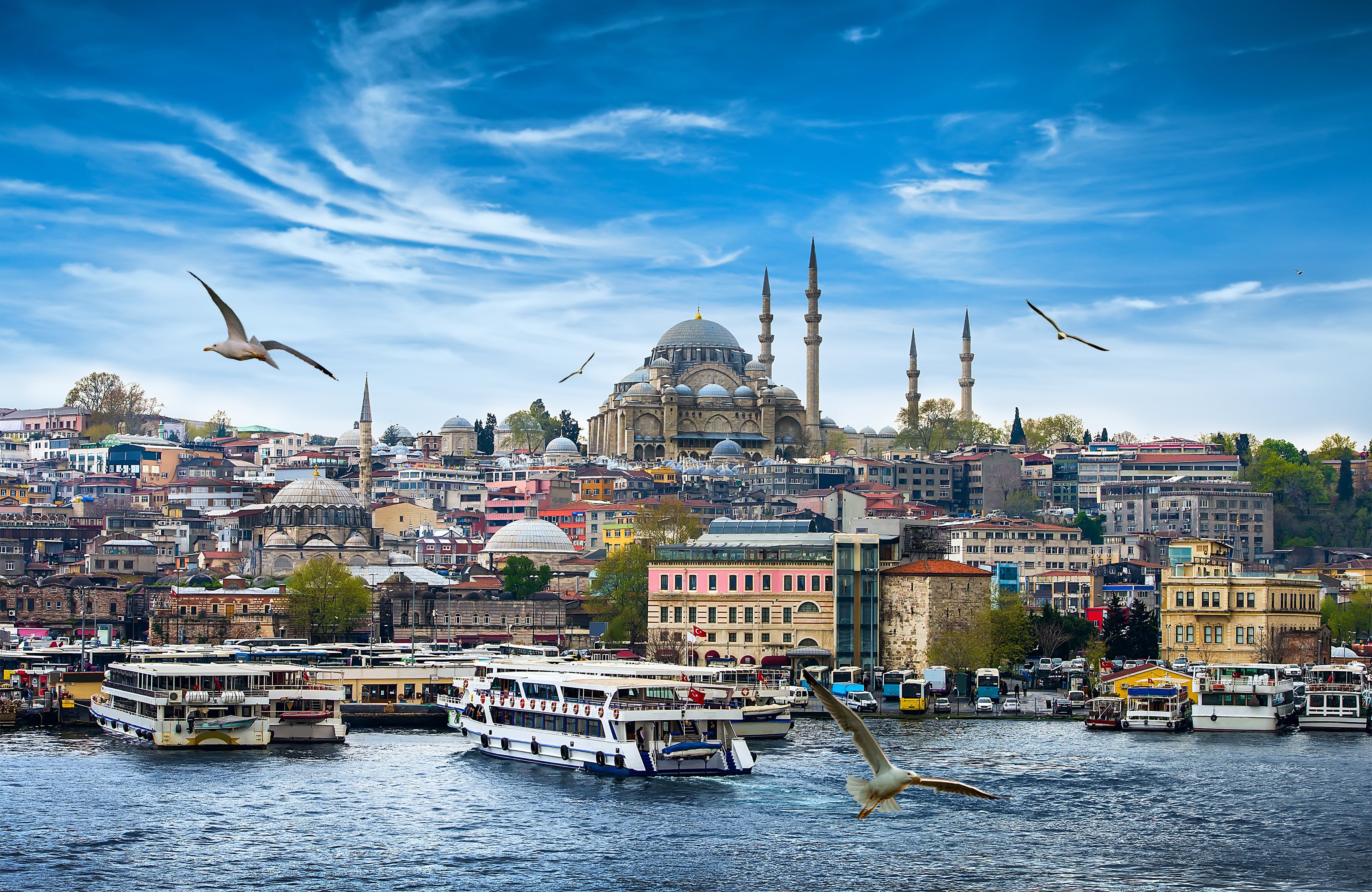 AdobeStock_87164057