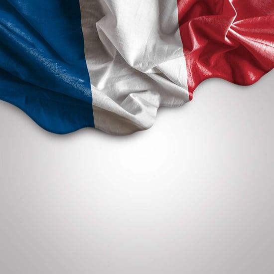 Survey : French management
