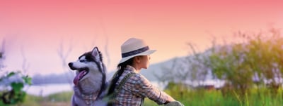 Summer Greetings 2023