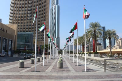 UAE Immigration News