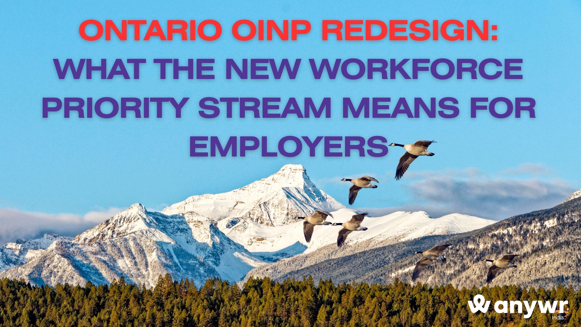 Ontario OINP Redesign: Key Changes and Impacts for Employers